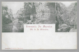 LA REUNION   SOUVENIR DU BERNICA CPA VERTE ET NEUVE  (EDITEUR ZAMPIERO) - Saint Denis