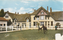 61 - Le Merlerault  -  Haras De La Beauvaisinière Et Parc à Chevaux - Le Merlerault