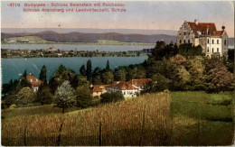 Schloss Salenstein Mit Reichenau - Salenstein