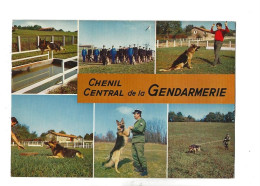 Gramat (46) : 6 Vues Chenil Central De La Gendarmerie Chien En 1975 (animé) GF. - Gramat