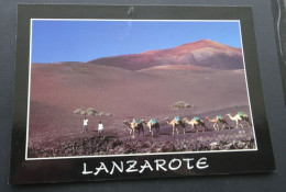 Lanzarote - Montanas Del Fuego - Beate Timm/Lanzarote - Foto Richard Maslonka - # OBS 49562 - Lanzarote