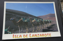 Isla De Lanzarote - Montanas Del Fuego - Ediciones Fotograficas-Edifoto - # 402 MF - Lanzarote