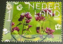 Nederland - NVPH - 4032 - 2022 - Gebruikt - Used - Beleef De Natuur - Wilde Marjolein - Oblitérés