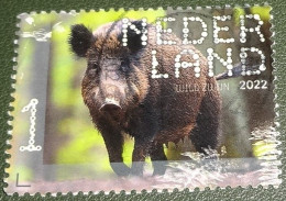 Nederland - NVPH - 4049 - 2022 - Gebruikt - Used - Beleef De Natuur - Wild Zwijn - Used Stamps