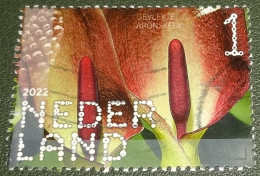 Nederland - NVPH - 4037 - 2022 - Gebruikt - Used - Beleef De Natuur - Gevlekte Aronskelk - Usados