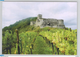 Spitz An Der Donau - Wachau - Ruine Hinterhaus - Wachau