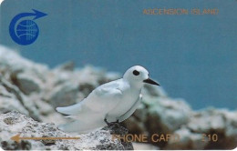 ASCENSION ISL.(GPT) - Fairy Tern, CN : 1CASC, First Issue 10 Pounds, Tirage 8426, Used - Ascension