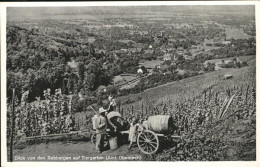 41209876 Oberkirch Baden Rebberge
Tiergarten Oberkirch Baden - Oberkirch