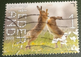 Nederland - NVPH - 4086 - 2023 - Gebruikt - Used - Beleef De Natuur - Haas - Used Stamps