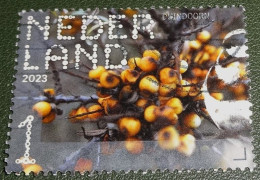 Nederland - NVPH - 4084 - 2023 - Gebruikt - Used - Beleef De Natuur - Duindoorn - Used Stamps