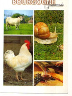 BOURGOGNE Gourmande, Photo Claude Bousquet, Escargot, Coq, Vin, Bouteille, Verre A Pied,raisin,taureau Ou Vache - Bourgogne