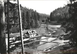 41209016 Altensteig Schwarzwald Gasthaus Kohlmuehle Altensteig - Altensteig