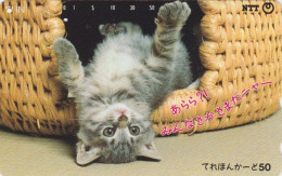 Télécarte JAPON / NTT 251-001 B ** 2 NOTCHES 1 PUNCH ** - ANIMAL CHAT - CAT JAPAN Phonecard - Gatti