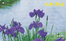 Télécarte JAPON / NTT 251-003 B ** 1 PUNCH ** - FLEUR IRIS D'EAU - FLOWER JAPAN Phonecard - Flores