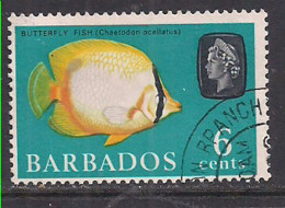 Barbados 1965 QE2 6cents  Coral SG 327 Used ( K517 ) - Bahreïn (...-1965)