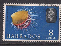 Barbados 1965 QE2 8cents  Coral SG 328 Used ( K700 ) - Bahrein (...-1965)