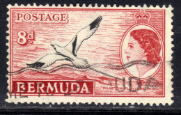 Bermuda 1953 - 62 QE2 8d White Tailed Tropic Bird Used SG 143a (M1338 ) - Bermuda