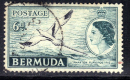 Bermuda 1953 - 62 QE2 6d White Tailed Tropic Bird Used SG 143 (J1308 ) - Bermuda