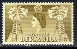 Bermuda 1953 - 62 QE2 1/2d Easter Lilies MM SG 135a ( J1383  ) - Bermuda