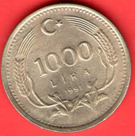Turchia - Turkey - Turkije - 1991 - 1000 Lira - SPL/XF - Come Da Foto - Turquie