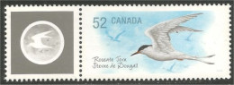 Canada Tern Sterne Mouette Gull Möwe Gabbiano MNH ** Neuf SC (C22-85c) - Möwen