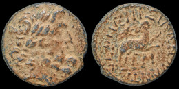 Syria Seleucis And Pieria Antioch Time Of Augustus AE20 - Provinces Et Ateliers