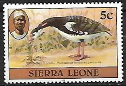 Sierra Leone  - MNH **1981 : Spur-winged Goose  -  Plectropterus Gambensis - Oche