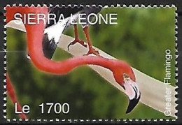 Sierra Leone  - MNH ** 2004 : American Flamingo  -  Phoenicopterus Ruber - Fenicotteri