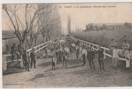 ALGERIE - TIARET - Militaires - La Jumenterie - Rentrée Des Juments - - Ed. P.S N° 55 - Tiaret