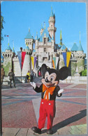 USA UNITED STATES FLORIDA DISNEY WORLD DISNEYLAND KARTE CARD POSTCARD CARTE POSTALE ANSICHTSKARTE CARTOLINA POSTKARTE - Atlanta