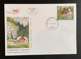 Österreich 1994 Naturschönheiten Mi. 2123 FDC Schmuckkuvert Ortsstempel NEUNKIRCHEN - Brieven En Documenten