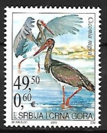 Serbia & Montenegro : MNH ** 2005 : Black Stork  -  Ciconia Nigra - Storks & Long-legged Wading Birds