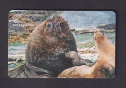 FALKLAND ISLANDS - Sea Lions Chip Phonecard - Isole Falkland