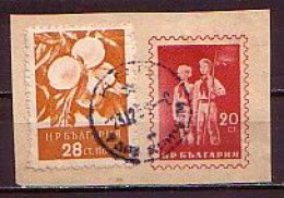 BULGARIA - 1956 - Mi 992 - Perf. Error 10 3/4 - Errors, Freaks & Oddities (EFO)