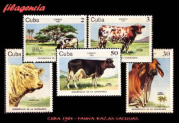 CUBA MINT. 1984-24 DESARROLLO DE LA GANADERÍA BOVINA - Unused Stamps