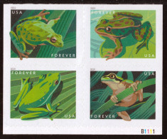 USA 2019 MiNr. 5632 - 5635  Amphibians  Frogs 4v MNH** 5.50 € - Frogs