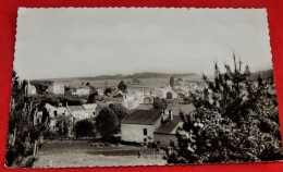 MELLIER  (Léglise)   -  Panorama Vu De La Bourgeoise   - - Leglise