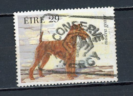 IRLANDE -  CHIEN  - N° Yvert 509 Obli - Gebraucht