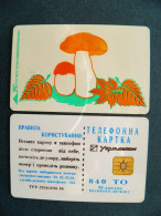 Phonecard Chip Mushrooms Mushroom Champignon K131 08/97 30,000ex. 840 Units UKRAINE - Ucraina