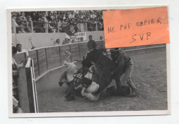 32 - VIC FEZENSAC - PHOTO - 19-9-1948 - Corrida Avec La Rejoneadora Conchita Cintron à Vic Fezensac - CTT - Rare - - Vic-Fezensac