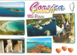 CPM - CORSE - CORSICA - J'ADORE !!! - MI PIACE - CHATS - ANE - Corse