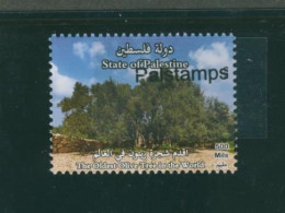 Palestine 528: The Oldest Olive Tree In The World. 1 Stamp (2023). MNH. - Palestine