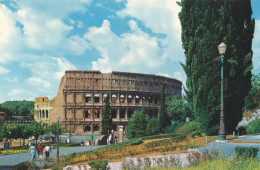 Cartolina Roma - Il Colosseo Dal Colle Oppio - Colisée