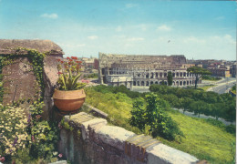 Cartolina Roma - Il Colosseo E Anfiteatro Flavio - Colosseo