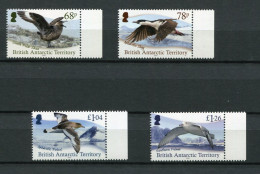 British Antarctic Territory - Mi.Nr. 832 / 835 - "Vögel" ** / MNH (Jahr 2020) - Nuovi