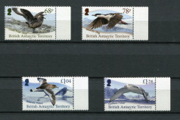 British Antarctic Territory - Mi.Nr. 832 / 835 - "Vögel" ** / MNH (Jahr 2020) - Ongebruikt