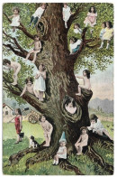 Arbre Remarquable : Bébés Multiples Perchés , Série 320 - Trees