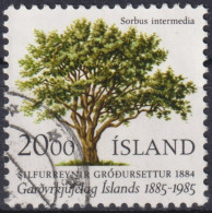 1985 Island > 1944-... Republik ° Mi:IS 634, Sn:IS 608, Yt:IS 588, Icelandic Horticultural Society, Centenary, Baum - Gebruikt