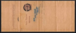 4089/ Argentine (Argentina) Entier Stationery Bande Pour Journal Newspapers Wrapper 2c Marron - Postal Stationery