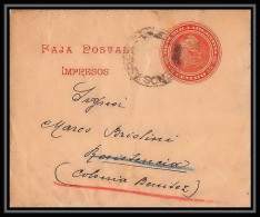 4112/ Argentine (Argentina) Entier Stationery Bande Pour Journal Newspapers Wrapper N°29 Colonia Benitez - Entiers Postaux